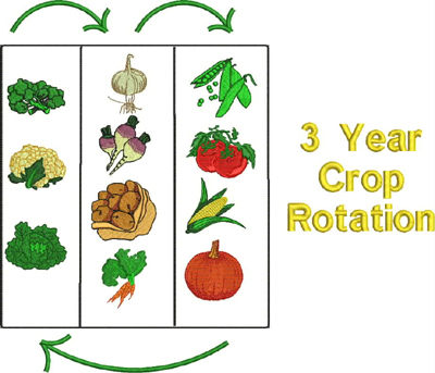 crop rotation chart