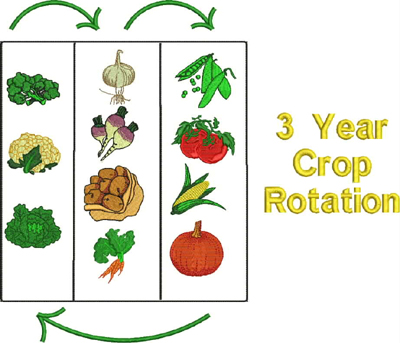 Organic Crop Rotation Chart