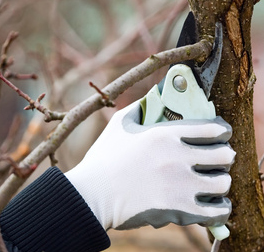 Gardening Tools