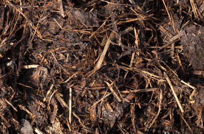Straw and cow poo is great to add to the compost pile