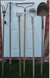 These tools are at attention and ready for inspection.