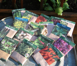 A seed selection of our gardener.