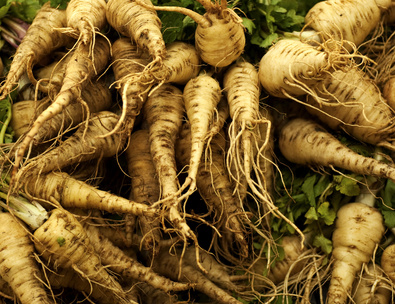 These parsnips will be ready late fall and through the winter