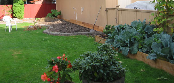 Backyard raised garden beds