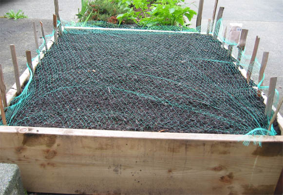 Net for cat prevention on a raised garden bed