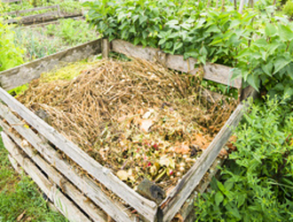 Make compost, save money