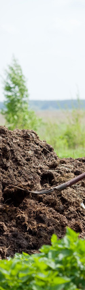 Composted manure