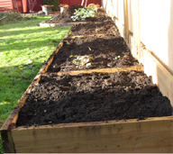 Raised garden beds after fall cleanup