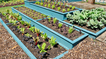 Terraced beds on a slope .. a great idea although there could be a pathway between the lower beds