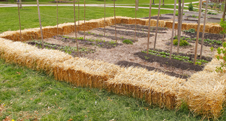 Staw bale garden beds... the straw will compost over time