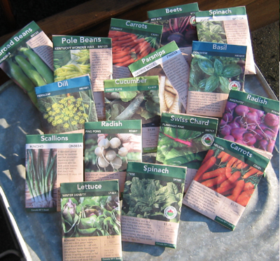 Vegetable growing directions are on the seed package ... read them.