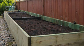 Asparagus will be planted in this raised bed