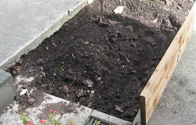 building a raised garden bed
