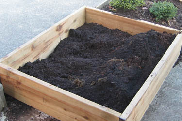 The soil in this bed will be the best mix.