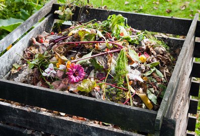 Make compost ... make cheap organic fertilizer Make compost ... make cheap organic fertilizer