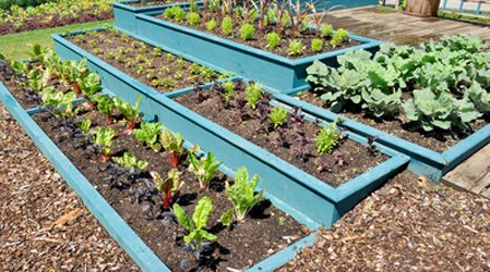 Would these terraced raised beds make it easier for a gardener? Our gardenerthinks a path between the lower two beds would make things easier.